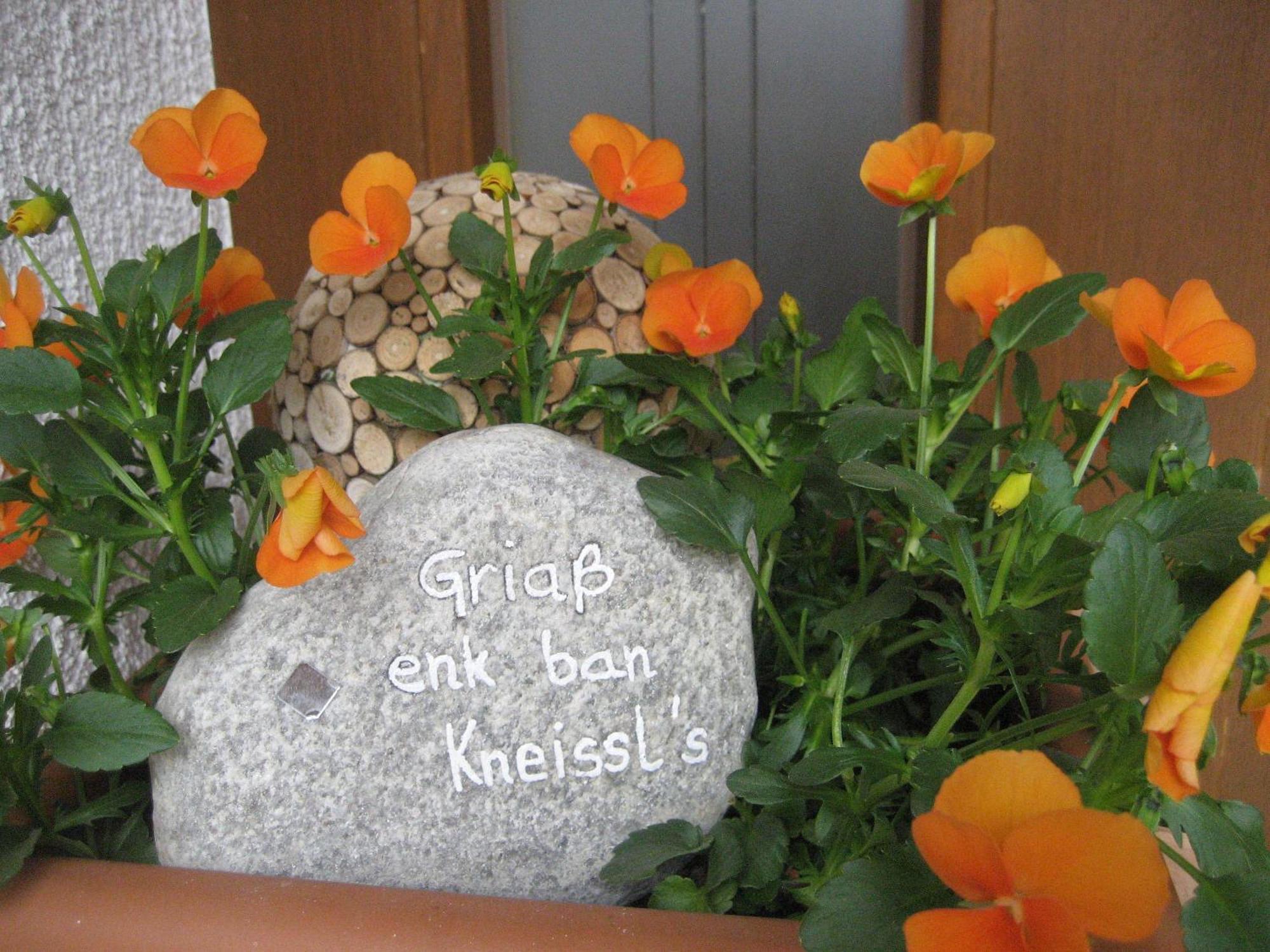 Appartement Ban Kneissl'S à Umhausen Extérieur photo