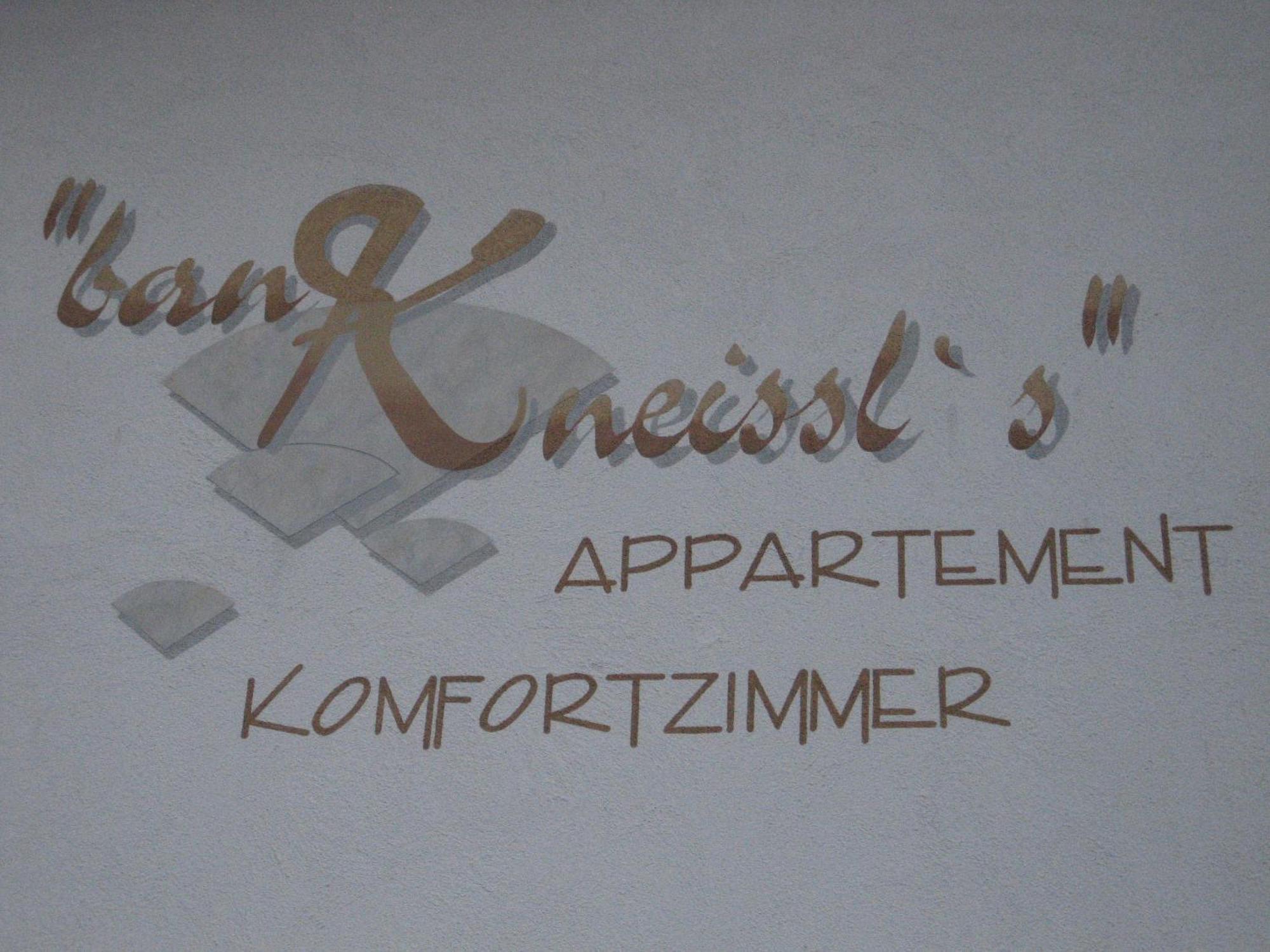 Appartement Ban Kneissl'S à Umhausen Extérieur photo